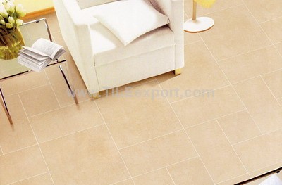 Floor_Tile--Porcelain_Tile,600X600mm[SS],66010_view